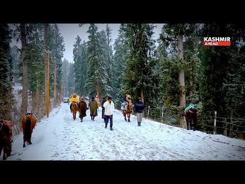 Tourists enjoying snowy scenes at Doodhpathri