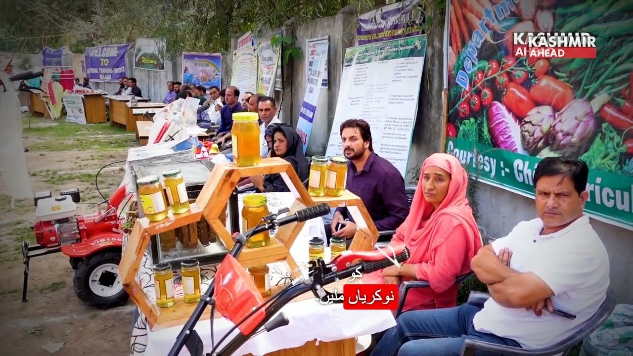 Mega Job Fair 2025: LG Manoj Sinha Leads the Charge to Empower J&K Youth