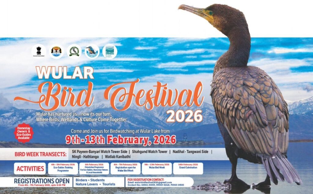 Youth soar at Wular Bird Festival