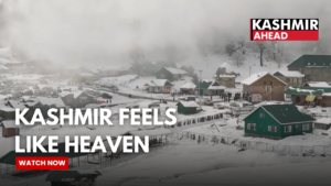 Watching Heaven Live: Delhi Tourists Experience Snowfall in Kashmir