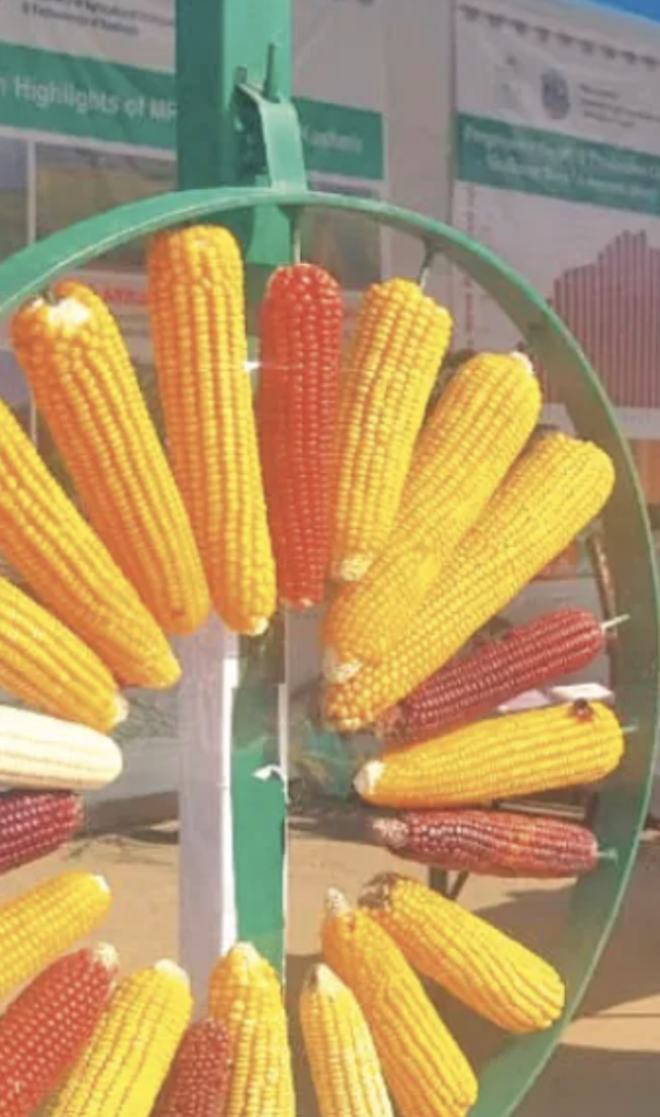 GON’GUL marks new plantation year with Agri-Horti breakthroughs at SKUAST-K