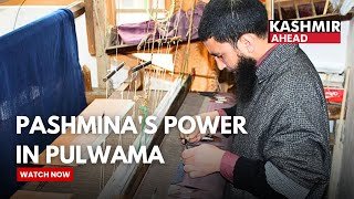 Traditional Pashmina Weaving Providing Employment & Income for Pulwama Youth