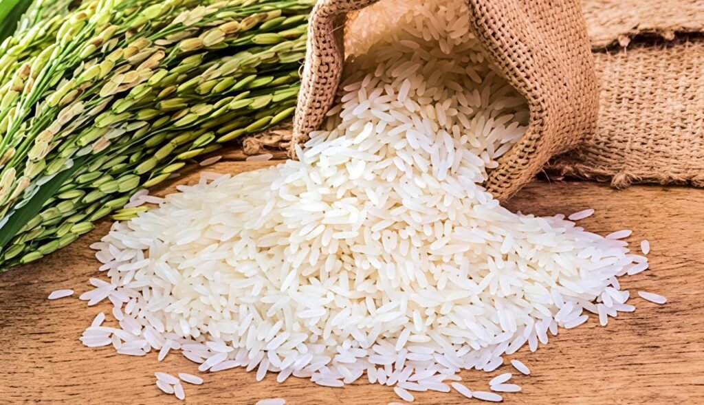 CSIR-NIIST develops high-protein low-GI Rice