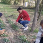 Rajouri farmers explore medicinal plant cultivation to boost income