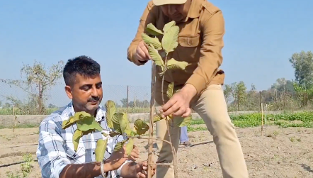 Fruitful futures: Kathua promotes high-yield orchards for rural youth