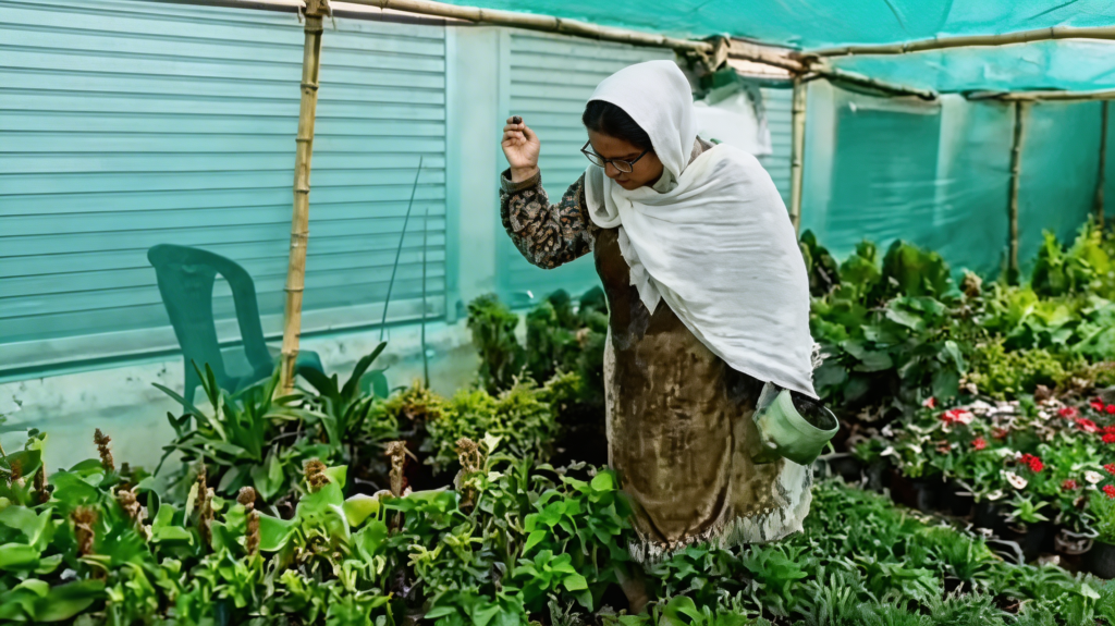 Sabia Mushtaq turns passion into profitable nursery in Awantipora