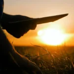 Agriculture first key to developed India: LG Manoj  Sinha