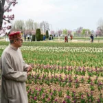 CM Omar Abdullah inaugurates Asia’s largest Tulip Garden in Srinagar