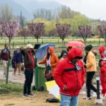 Tourists revel in Srinagar Tulip Garden amid light rain