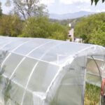 Udhampur gets 85 polyhouses to boost vegetable farming