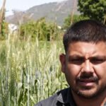 Udhampur’s strawberry boom creates rural employment