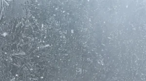 Fresh snowfall revives tourism, boosts farm hopes in Bhaderwah