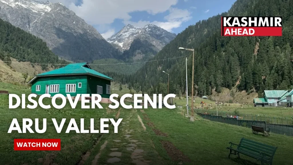 Aru Valley in Pahalgam Draws Tourists with Scenic Beauty and Trekking Trails