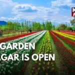 1.8 Million Tulips Set to Bloom at Srinagar’s Tulip Garden from March 16 🌷