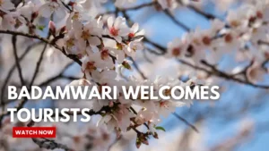 “Kashmir Is a Must-Visit,” Say Visitors at Badamwari in Srinagar