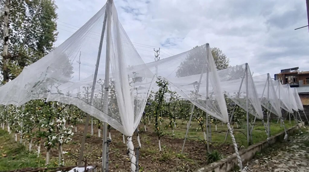 HADP high-density scheme boosts Kashmir horticulture