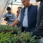 Hi-Tech polyhouse boost to drive ₹30 crore vegetable economy in Doda