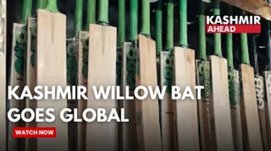 Anantnag’s Sports Good Exports Sends Kashmir Willow to Global Cricket Arenas
