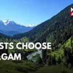 Pahalgam Beats Srinagar & Kashmir Rivals International Destinations,, Say Tourists Visiting J&K