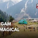 Kashmir is Calling: Tourists in Pahalgam Say Here’s Why You Must Go