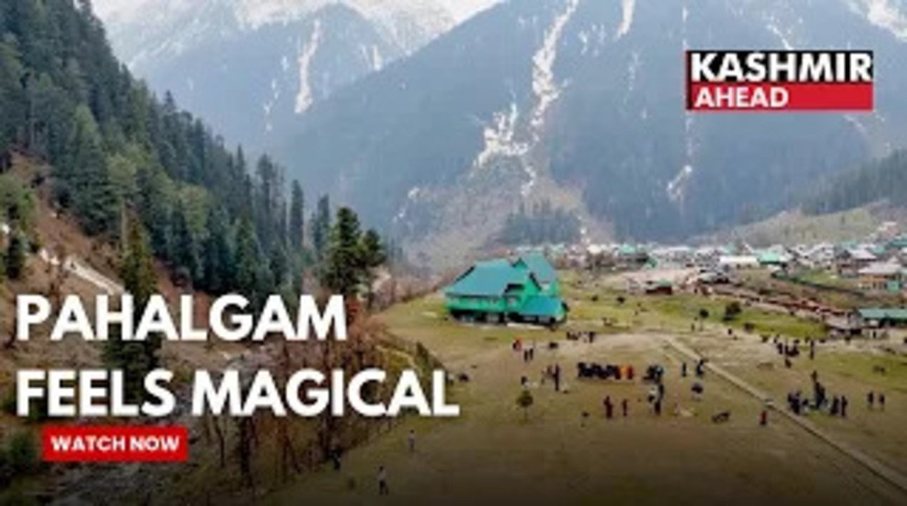 Kashmir is Calling: Tourists in Pahalgam Say Here’s Why You Must Go
