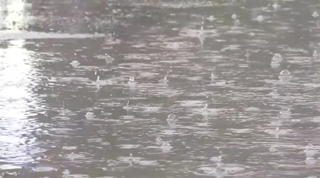 Jammu and Kashmir: Pleasant weather returns to Srinagar as rain showers lash Kashmir valley