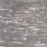 Jammu and Kashmir: Pleasant weather returns to Srinagar as rain showers lash Kashmir valley