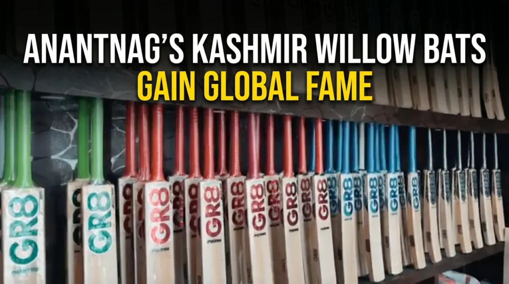 Anantnag’s Kashmir Willow bats gain global fame