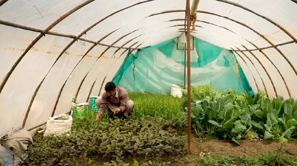 Farming driving change in Kupwara border villages