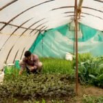 Farming driving change in Kupwara border villages