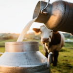 Milk production in Kashmir nears 30 lakh tonnes: Dairy sector driving rural prosperity