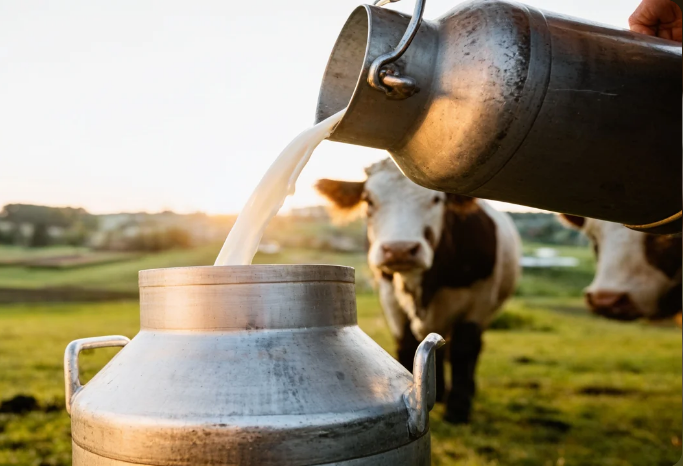 Milk production in Kashmir nears 30 lakh tonnes: Dairy sector driving rural prosperity
