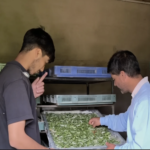Kulgam sericulture department boosts rural livelihoods through Silk Samagra-2 Scheme