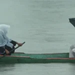 Light rain brings serenity to Dal Lake as cloudy weather persists in Srinagar