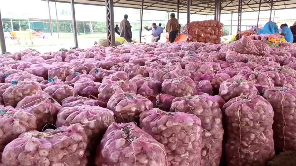 Pulwama establishes first-ever garlic mandi at Prichoo Fruit Mandi