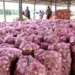 Pulwama establishes first-ever garlic mandi at Prichoo Fruit Mandi