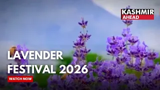 Lavender Festival 2026 in Bhaderwah | J&K Farmers Connect with Global Markets
