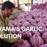 Pulwama Garlic Mandi Boosts Farmers’ Income with ₹40 Lakh Trade in Just Days