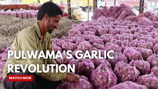 Pulwama Garlic Mandi Boosts Farmers’ Income with ₹40 Lakh Trade in Just Days