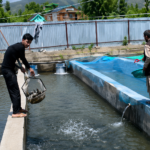 National fish farmers day 2026: Anantnag emerges as trout farming success story under HADP