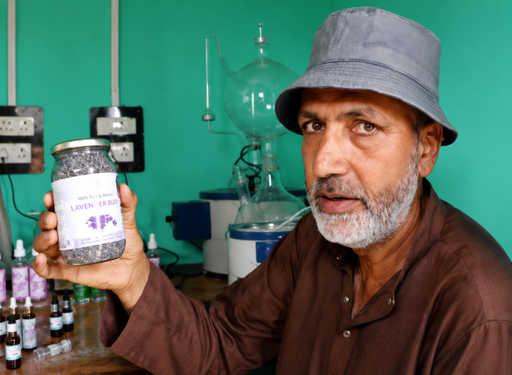 Pulwama farmer doubles income with lavender cultivation in high-density apple orchard