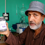 Pulwama farmer doubles income with lavender cultivation in high-density apple orchard