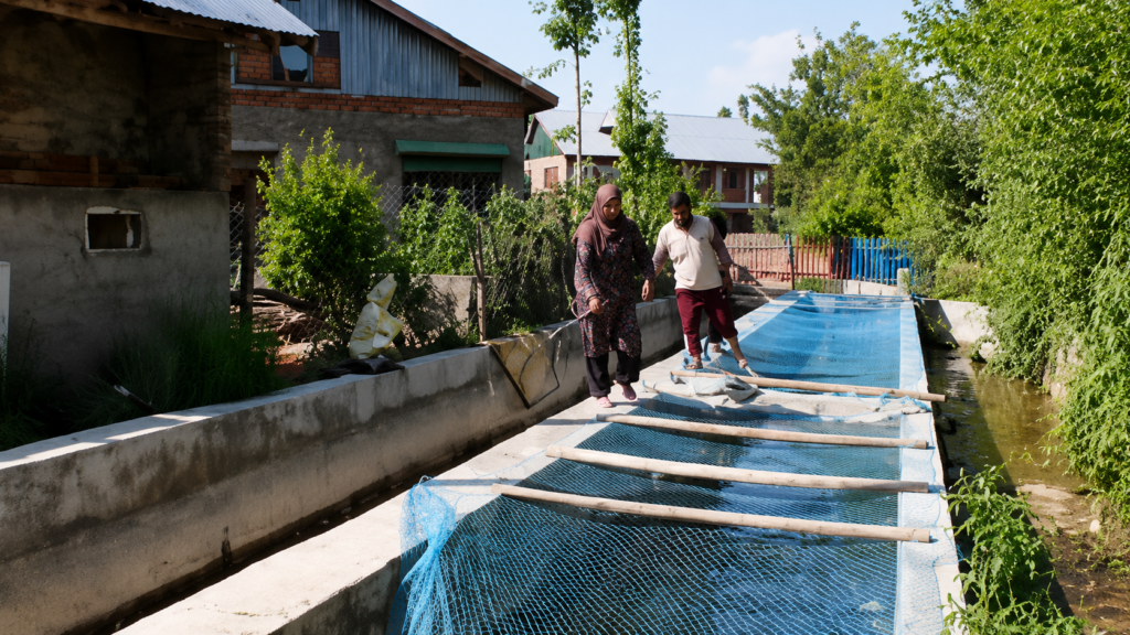 Pulwama woman entrepreneur turns fish farming into a profitable livelihood, inspires rural women