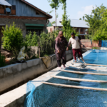 Pulwama woman entrepreneur turns fish farming into a profitable livelihood, inspires rural women