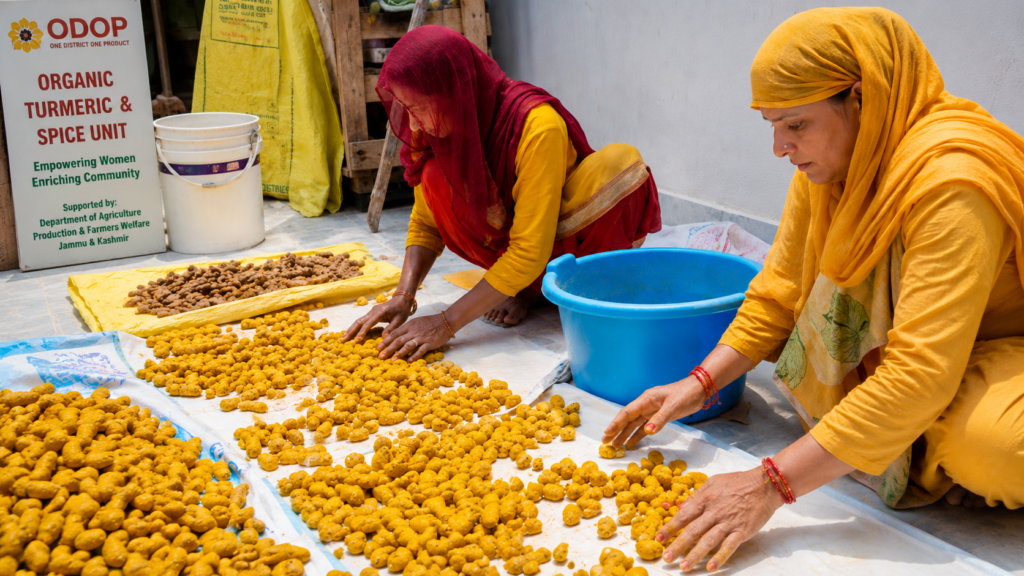 Border women of Marheen turn entrepreneurs, launch organic turmeric and spice unit under ODOP scheme