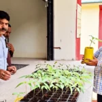 KVK Rajouri opens farmer’s sale point to promote direct marketing and enhance  farmer’s income