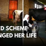 From Loan to ₹1 Lakh a Month! Kishtwar Woman’s Dairy Success Story | UMEED Scheme