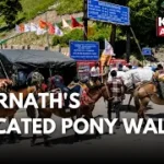 Amarnath Yatra 2026: Pony Wala’s Inspiring Story of Service