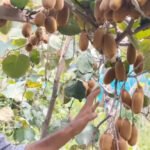 From farmer to Agri-Entrepreneur: Zubair Ahmed Sohil’s journey reshapes rural Ramban