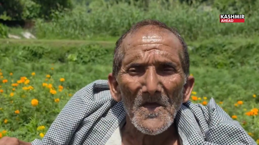 Katra farmers embrace floriculture, boosting income through flower cultivation